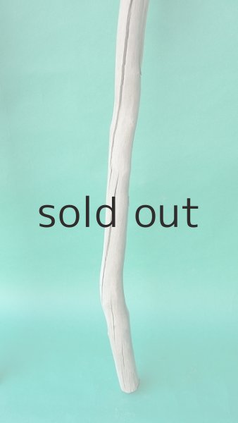 画像5: 枝流木 (5)