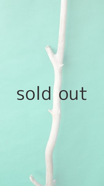 画像3: 枝流木 (3)