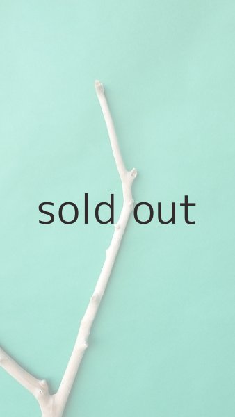 画像4: 枝流木 (4)