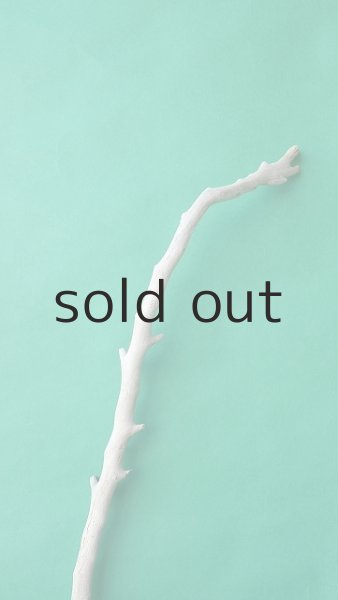 画像5: 枝流木 (5)