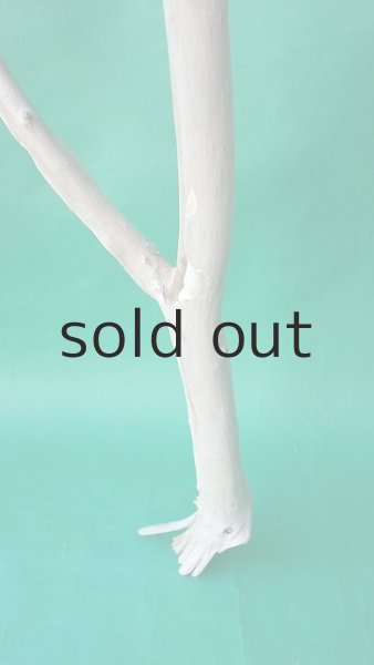 画像7: 枝流木 (7)