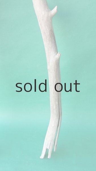 画像5: 枝流木 (5)