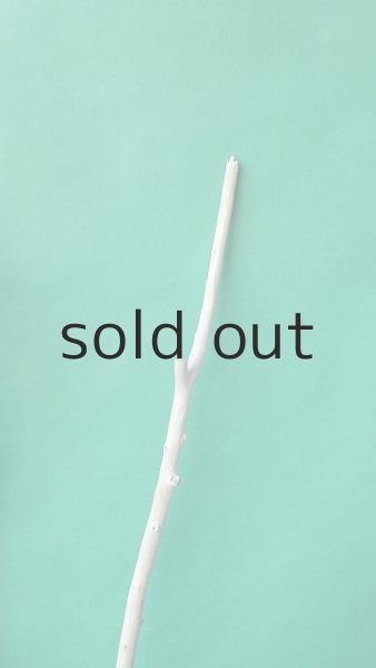 画像5: 枝流木 (5)