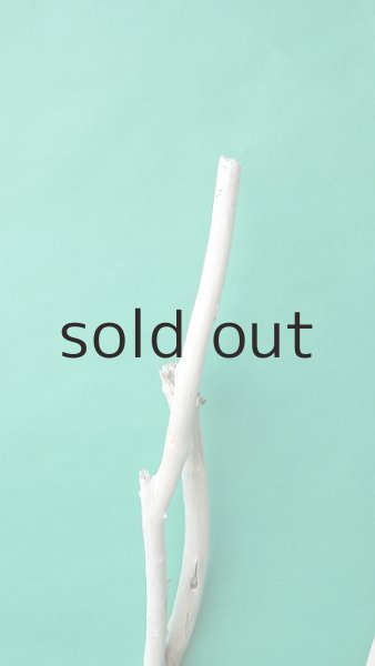 画像4: 枝流木 (4)