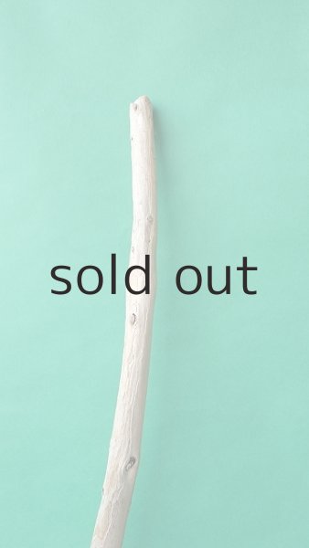 画像4: 枝流木 (4)