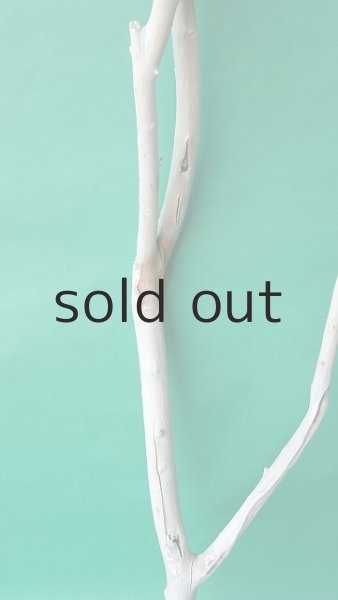 画像3: 枝流木 (3)