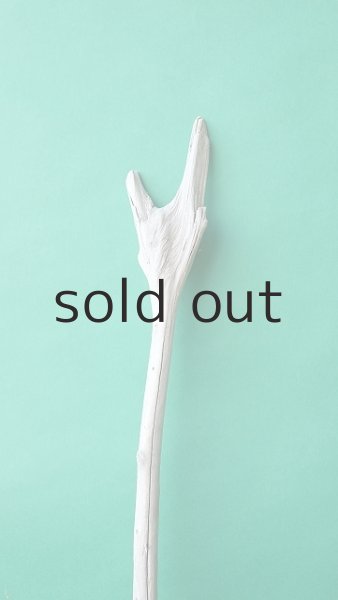 画像4: 枝流木 (4)