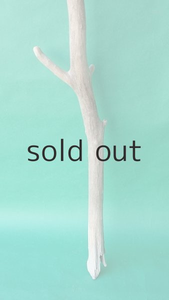 画像2: 枝流木 (2)