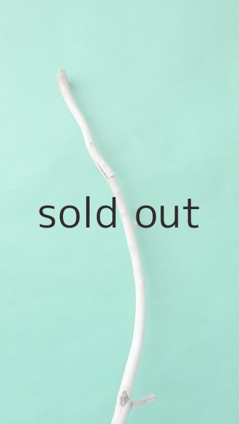 画像4: 枝流木 (4)