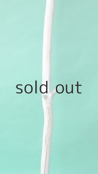 画像3: 枝流木 (3)