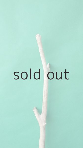 画像4: 枝流木 (4)