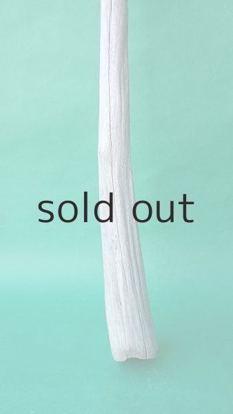 画像2: 枝流木 (2)