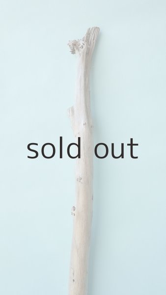 画像3: 棒流木 (3)