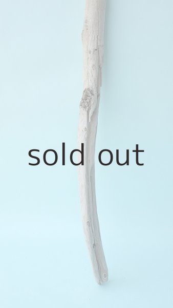 画像2: 棒流木 (2)