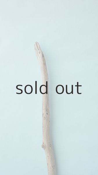 画像4: 棒流木 (4)