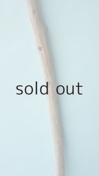 画像3: 棒流木 (3)