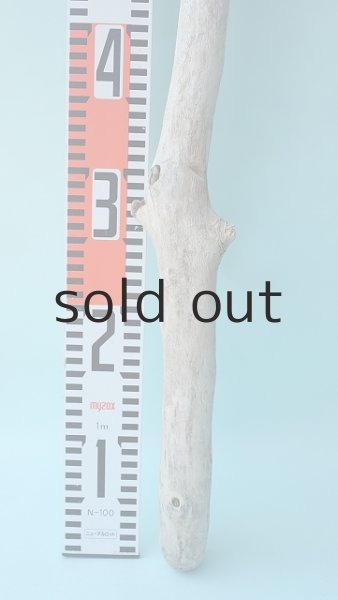 画像4: 棒流木 (4)