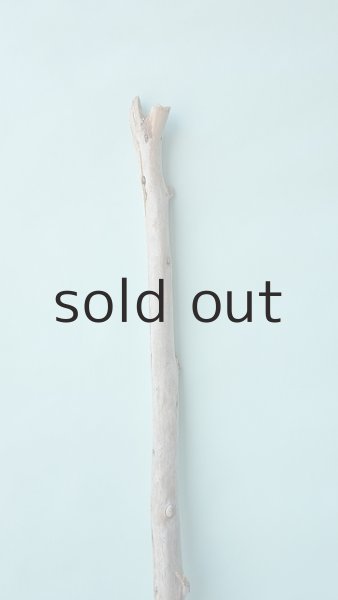 画像4: 棒流木 (4)