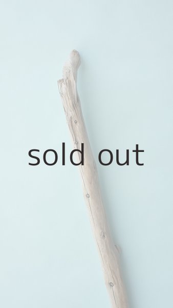 画像4: 棒流木 (4)