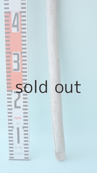 画像5: 棒流木 (5)