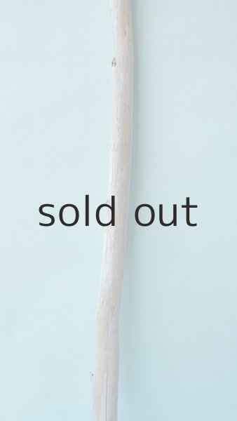 画像3: 棒流木 (3)