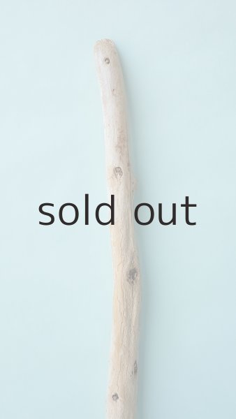 画像3: 棒流木 (3)