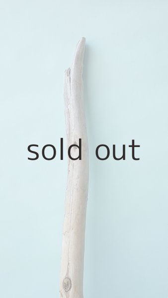 画像3: 棒流木 (3)