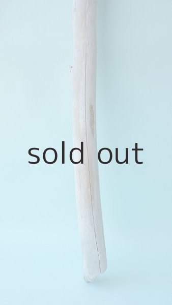 画像2: 棒流木 (2)