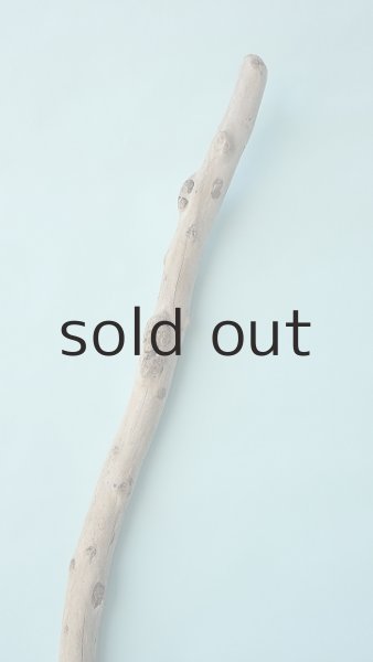 画像4: 棒流木 (4)