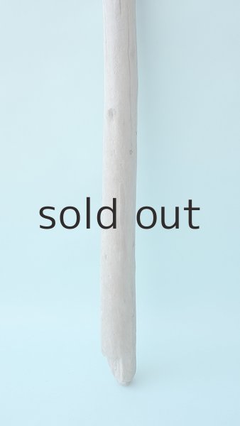 画像2: 棒流木 (2)