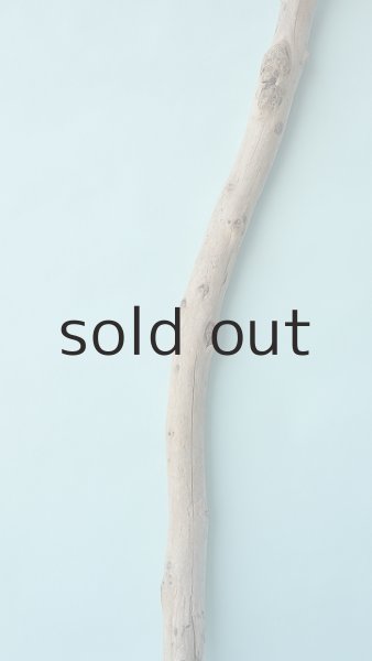 画像3: 棒流木 (3)