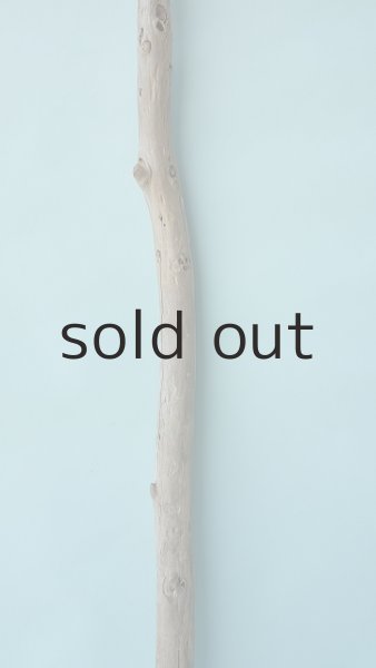 画像3: 棒流木 (3)