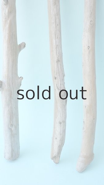 画像2: 棒流木セット (2)