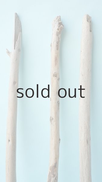 画像3: 棒流木セット (3)