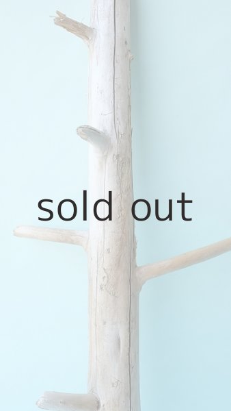 画像3: 幹流木 (3)