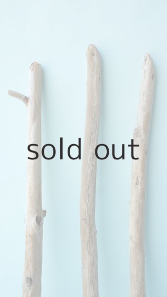 画像3: 棒流木セット (3)