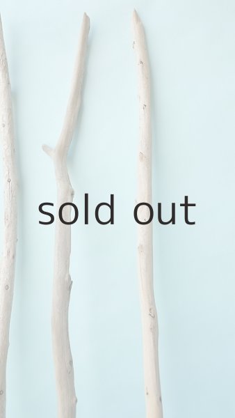 画像4: 棒流木セット (4)