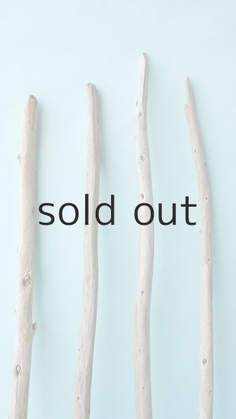 画像3: 棒流木セット (3)