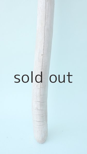 画像2: 棒流木 (2)