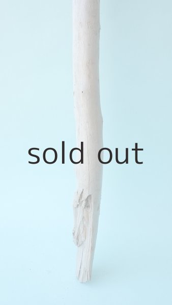 画像2: 棒流木 (2)