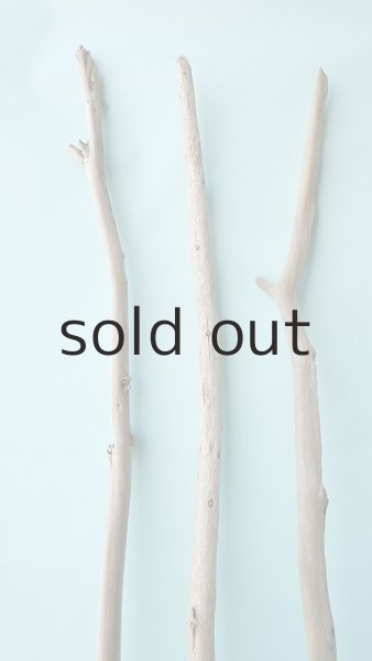 画像5: 棒流木セット (5)