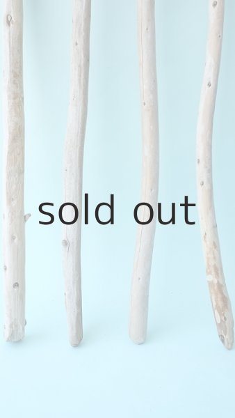 画像2: 棒流木セット (2)