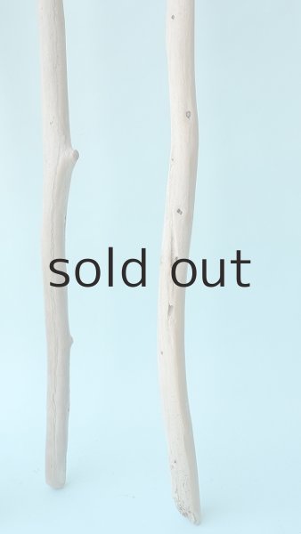 画像3: 棒流木セット (3)