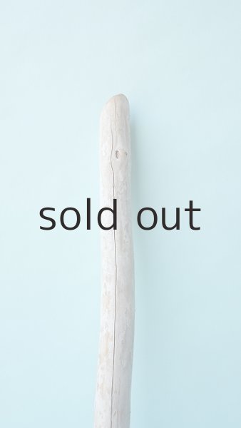 画像3: 棒流木 (3)