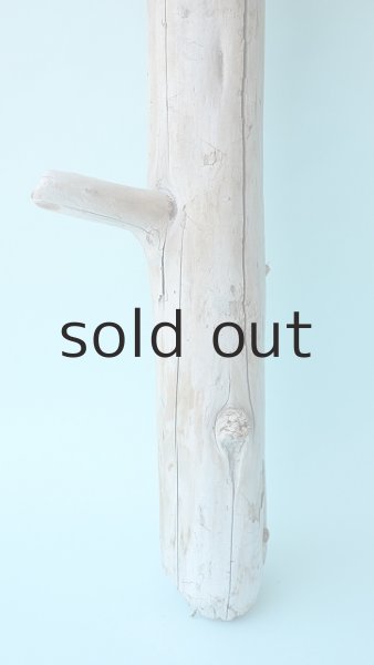 画像2: 幹流木 (2)