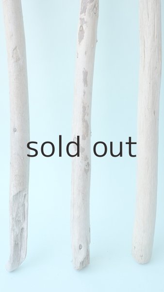 画像2: 棒流木セット (2)