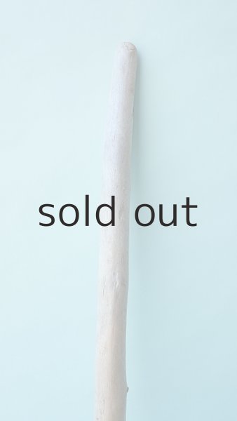 画像3: 棒流木 (3)