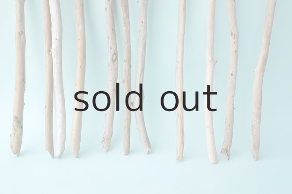 画像2: 棒流木セット (2)