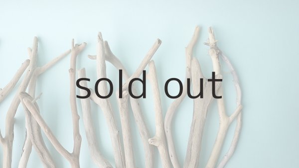 画像4: 小枝流木セット (4)