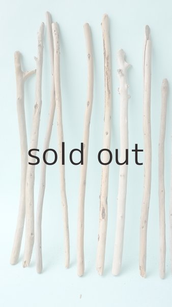 画像2: 棒流木セット (2)